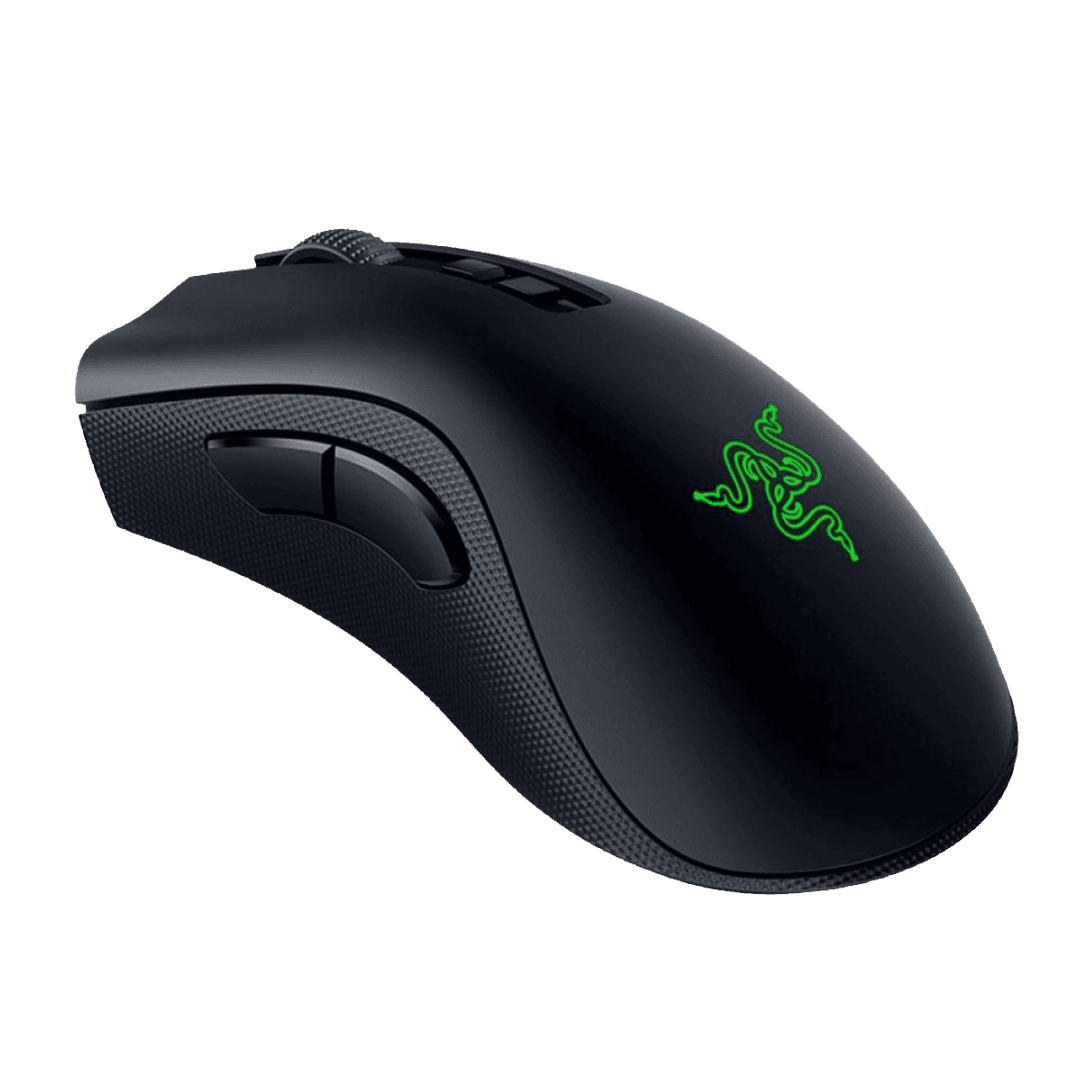 Razer Deathadder V2 Pro